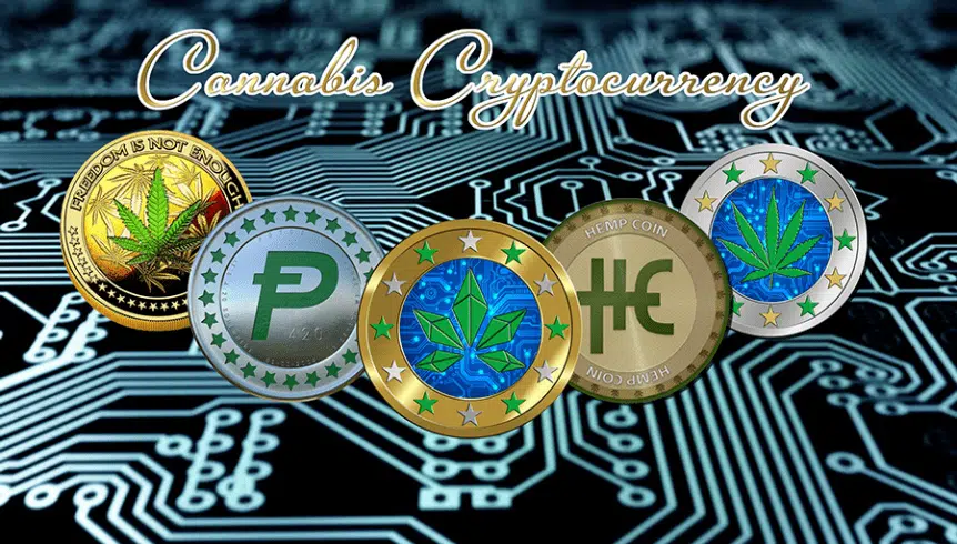 Cannabis Cryptocurrency Banner