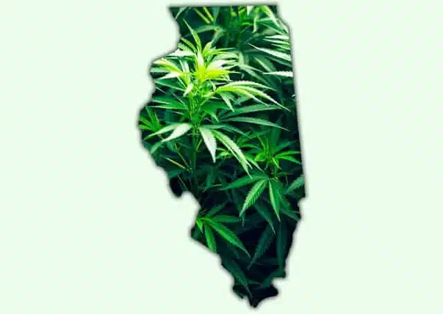 Illinois Cannabis Legalization
