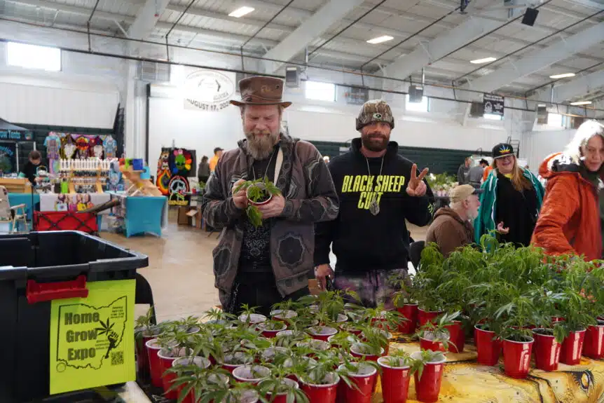 Attendees exploring vendor booths at the 2025 Cannabis Farmers Market Ohio, part of the OhioCannabis.com Festival & Farmers Cup in Frazeysburg.