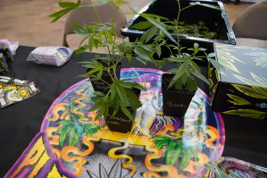 Attendees enjoying legal cannabis at the 2025 OhioCannabis.com Festival & Farmers Cup at the Crawford Barn in Frazeysburg, Ohio.