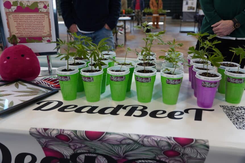 Celebrating Ohio home growers at the 2025 Farmers Cup during the OhioCannabis.com Festival with flower entries and community pride.